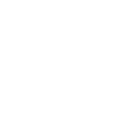 The github octocat logo